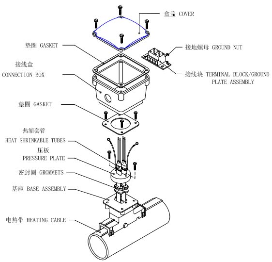 늰ԴӾЃȲY